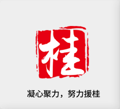 聚焦产业，努力援桂